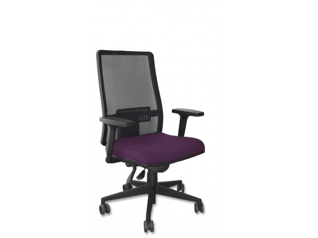 Cadeira Passion Manager 
