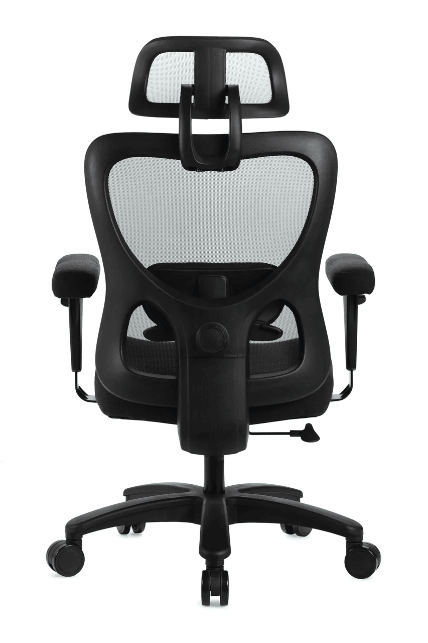 AXIS BLM159 PLUS SIZE
